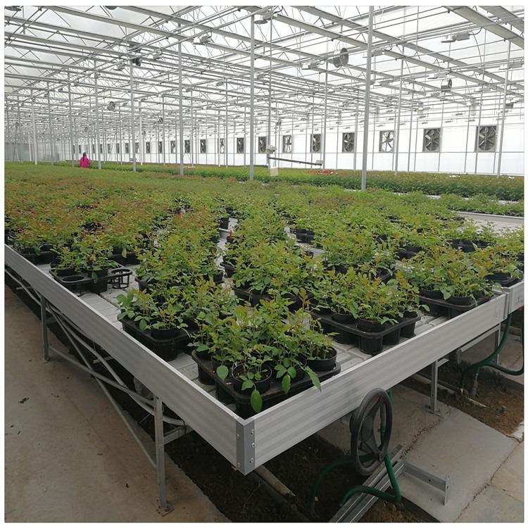 不是什么植物都適用于潮汐苗床的？